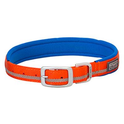 23"ORG Terr Dog Collar