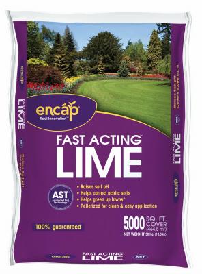 5000SQFT Fast Lime