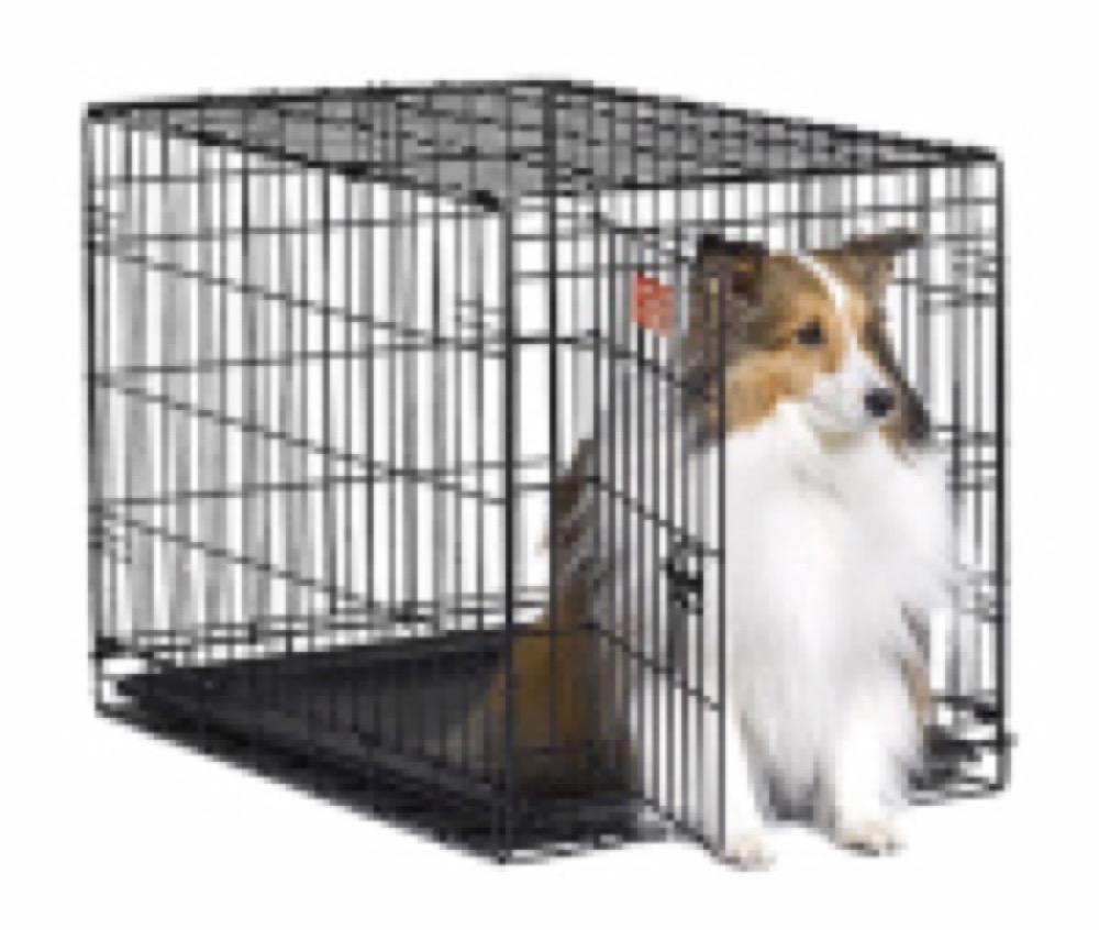 PE 30" SGL DR Dog Crate