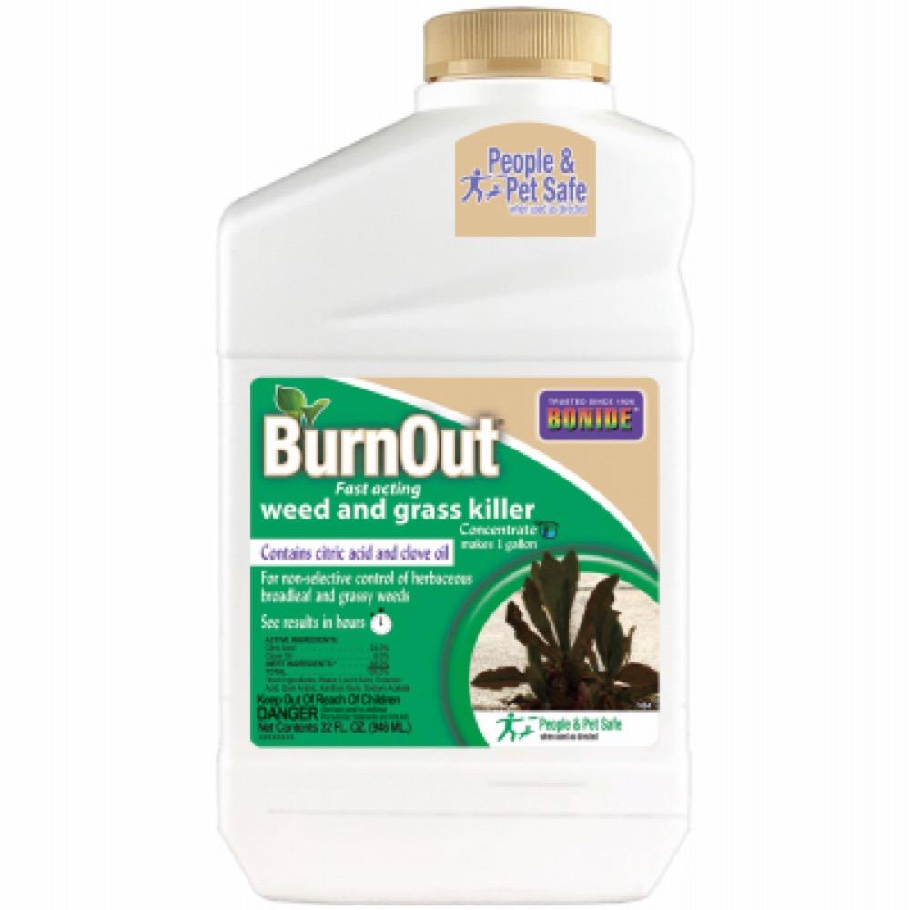 QT Conc BurnOut