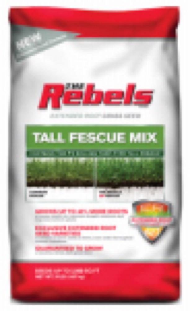 20LB Rebel Fescue Seed