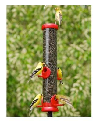15" SunFLWR Tube Feeder