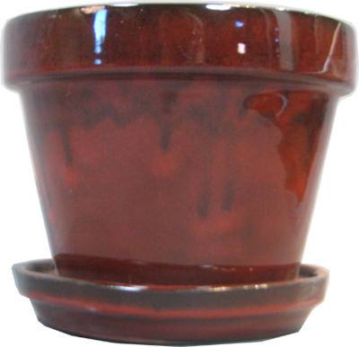 8-1/4" Tropical RED Pot