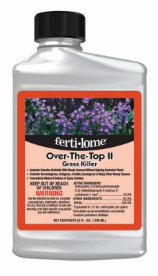 8OZ Conc Grass Killer - 141706