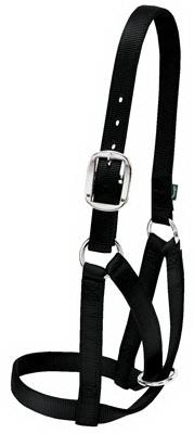 MED BLK Cow Barn Halter