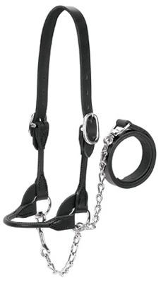 MED BLK 4H Show Halter