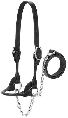 LG RND Bridle Halter