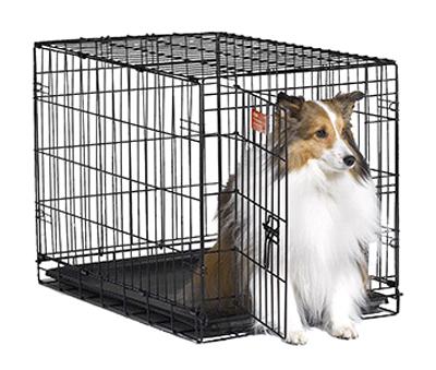 30" Crate Dog Training