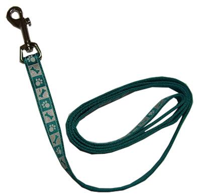 1" Teal Reflect Leash