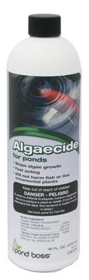 32OZ Algaecide