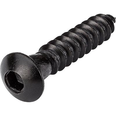 6PK BLK Hex Lag Screw