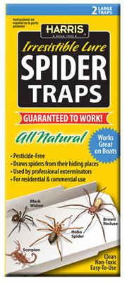 2PK Spider Trap