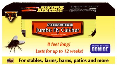 Reveng Jumb Fly Catcher