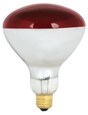 250W RED R40 Heat Lamp