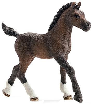 BRN Arabian Foal