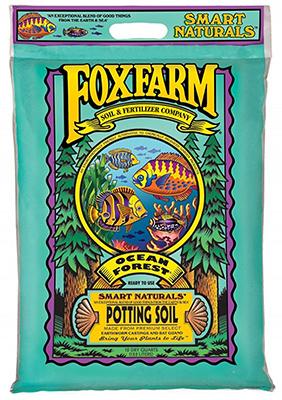 12QT Ocean Forest Soil