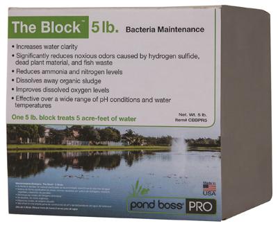 5LB BLCK Bacteria