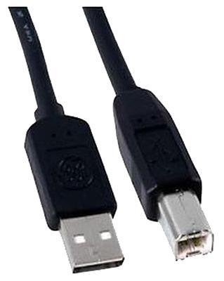 10' BLK USB 2.0 Cable