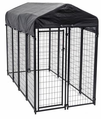 Lucky 6x4x8 Wire Kennel