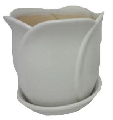 8"Tulip Pot ASSTD
