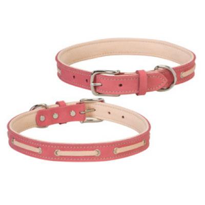 3/4x13 Deck Dog Collar