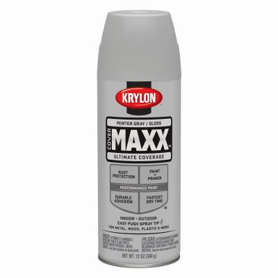 12OZ Pewt GRY GLS Paint