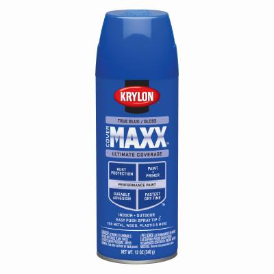 12OZ True BLU GLS Paint