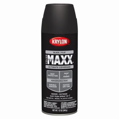 12OZ BLK FLT Paint - 205807