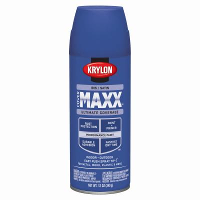 12OZ Iris Sat Paint - 205820