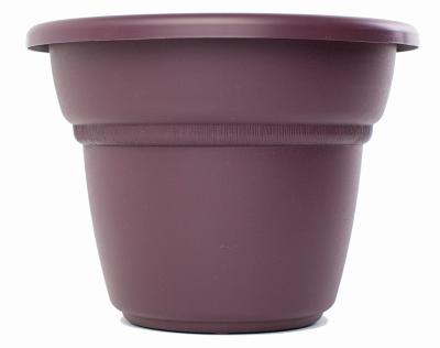 7" Exoti Milano Planter