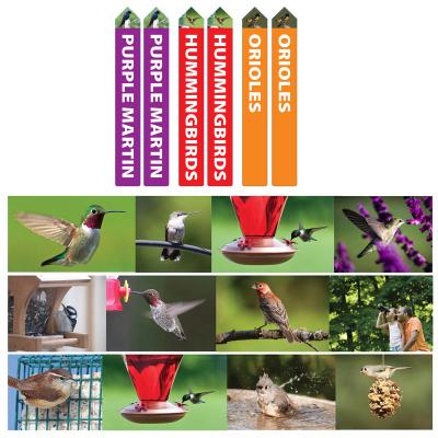 Hummingbird POP Kit