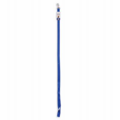 1x6 BLU Dog Leash