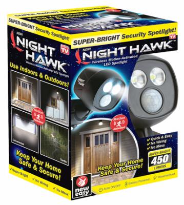 Night Hawk Motion Light
