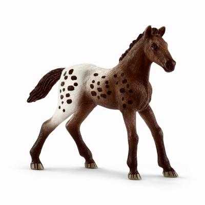 BRN Appaloosa Foal