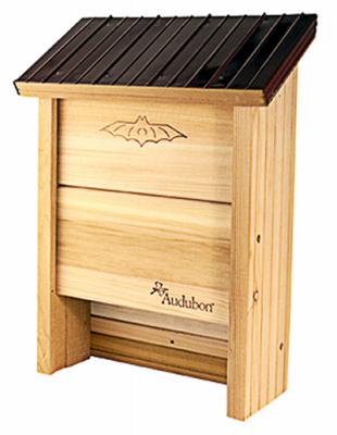 Cedar Bat Shelter