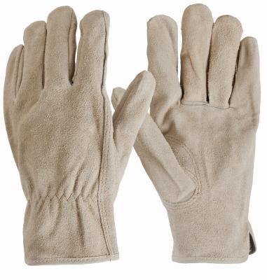 MED Men Suede Cow Glove