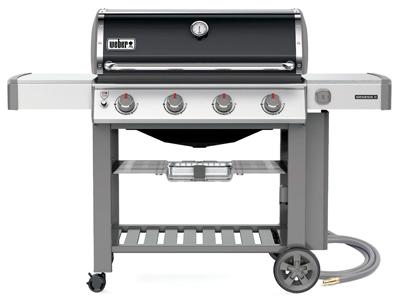 GenII E410BLK Nat Grill