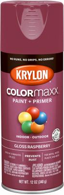 12OZ Raspberr GLS Paint - 249435