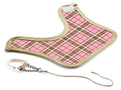 Blanket/Halter