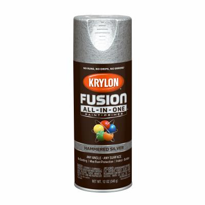 12OZ SLV Hammered Paint