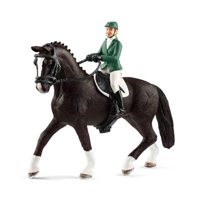 Multi Show Jumper/Horse
