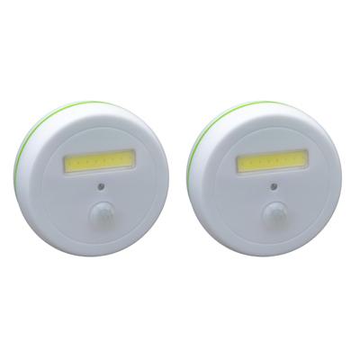 2PK Motion Puck Light