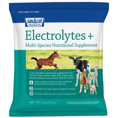 SavCaf 4OZ Electrolytes