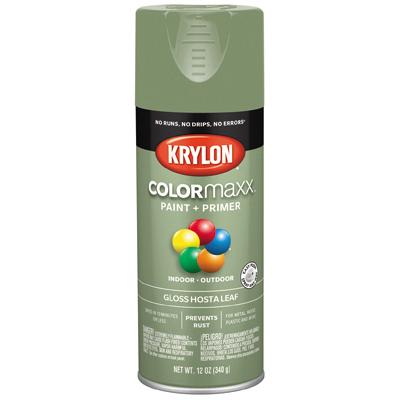 12OZ Hosta GLS Paint