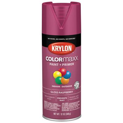12OZ Raspberr GLS Paint - 264487