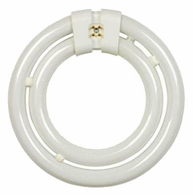 40W 2C Fluo Circ Lamp