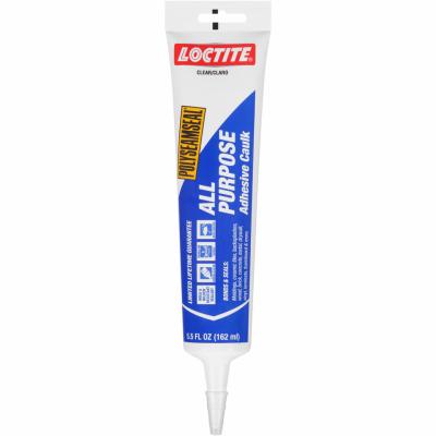 5.5OZCLR 2In1 AP Caulk