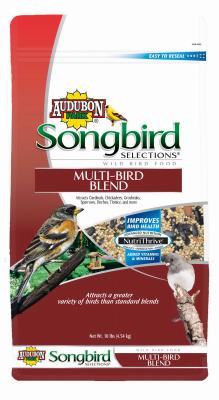 10LB Multi Bird Blend