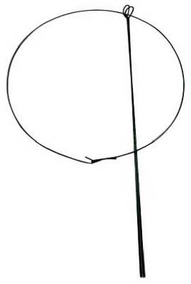 14x24 SGL Peony Support