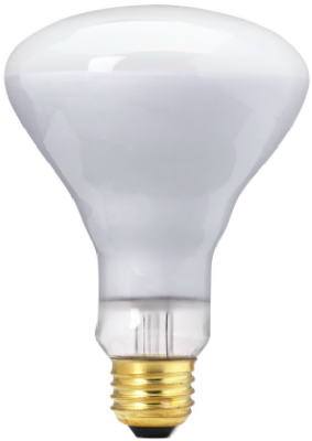 WP 65W BR30 Spot Bulb